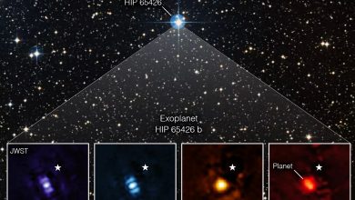 Фото - Телескоп «Джеймс Уэбб» впервые сфотографировал планету за пределами Солнечной системы