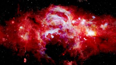 Фото - Учёные обнаружили протогалактику, которая дала жизнь Млечному Пути
