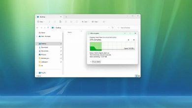 Фото - Новая проблема с Windows 11 22H2: теперь загрузка и копирование файлов могут замедляться до 40%