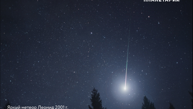 Фото - Есть что посмотреть: в ночь на 18 ноября — главный звездопад месяца