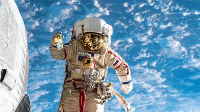 Фото - Российские учёные обсуждают необходимость внедрения генных технологий при отборе в космонавты