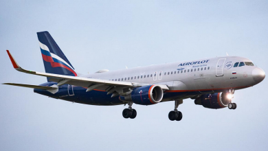 Фото - Запрет на регистрацию самолётов российских авиакомпаний за рубежом поддержали в Росавиации
